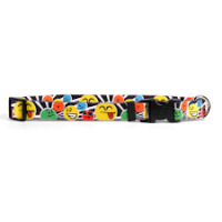 Smiley Nylon Dog Collar